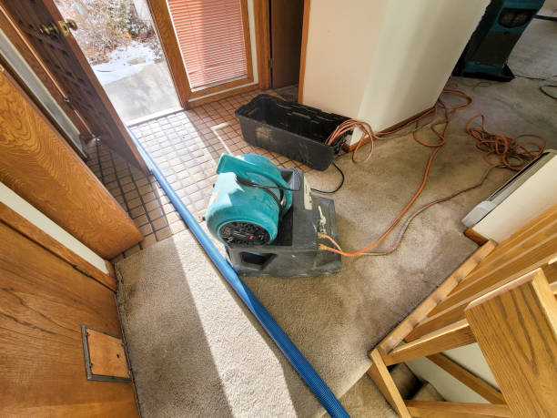 Water damage restoration experts in Kirklin, IN