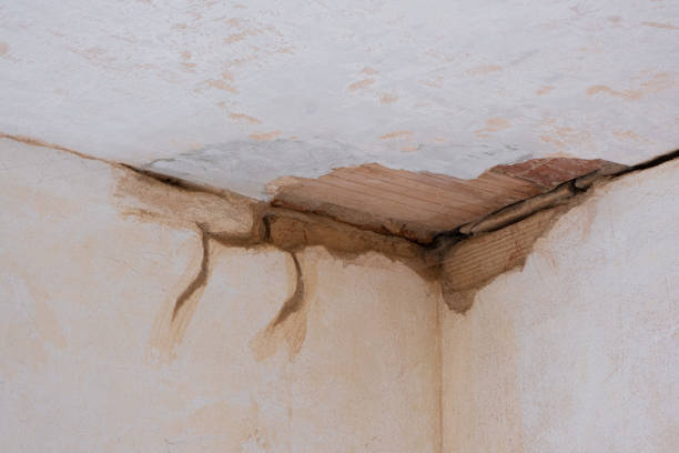 Best Mold removal after water damage  in Kirkl, IN