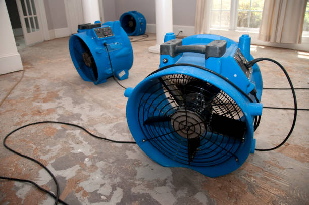 Best Water damage cleanup near me  in Kirkl, IN